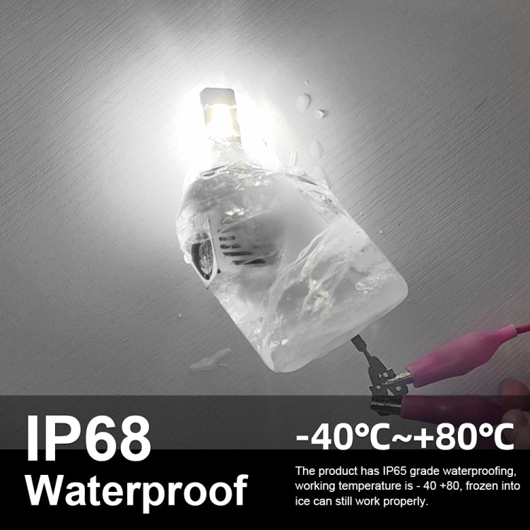 CRP0184LW_6.jpg@752374f8d96ab159df6424aef50d6742