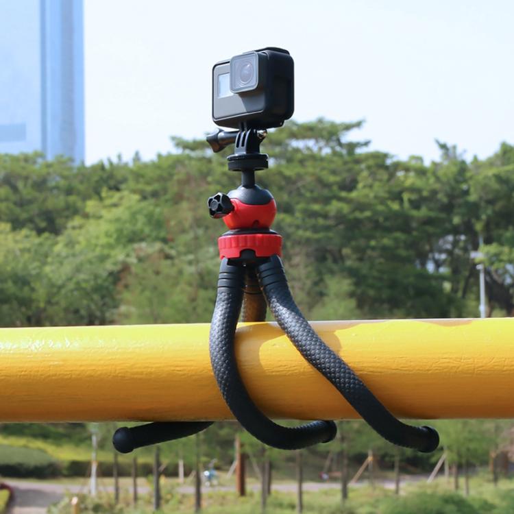 DCA0572_8.jpg@726c4b2d13ce443e362a2caf31dd092c
