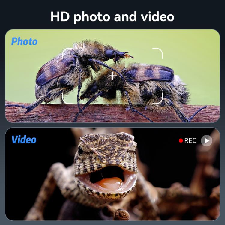 EDA0093274_B3.jpg@5d51e8637713a1febee5b55e9faec406