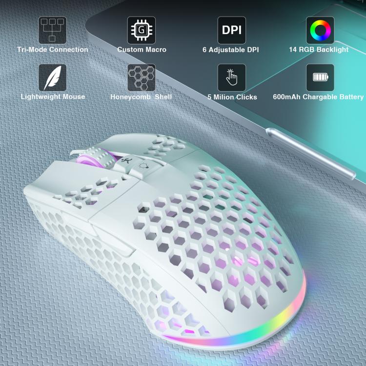 EDA009358501A_1.jpg@816475b2fc9564e0346755e57aea93fe
