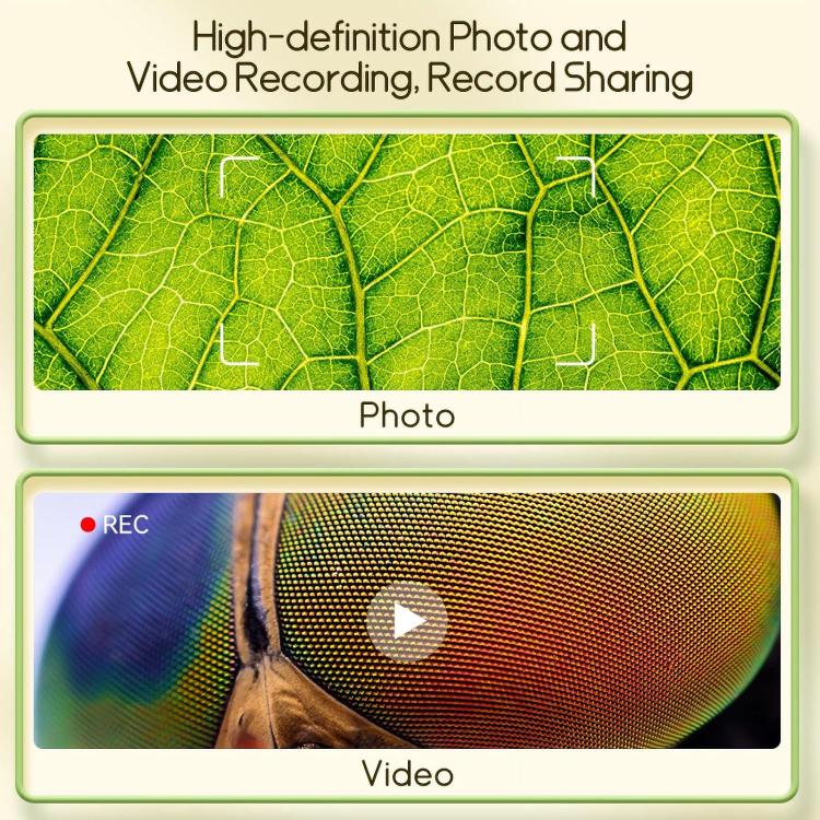 EDA009544801A_5.jpg@2cb3d2fa1f560d6122347af9917c7d9e