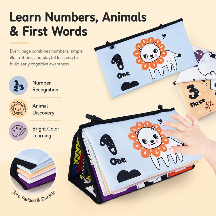 EDA0095575_B8.jpg@65bb504481c2ddeaba4188a1e5daafa9