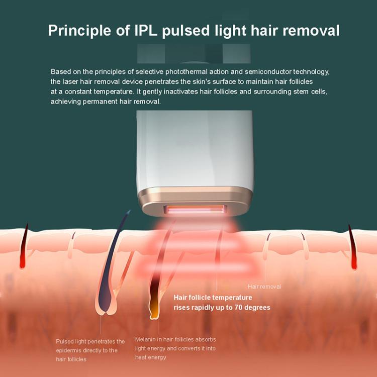 EDA0097648_B5.jpg@bb27cfc6337fcdccbc69f1eb2d838f5e