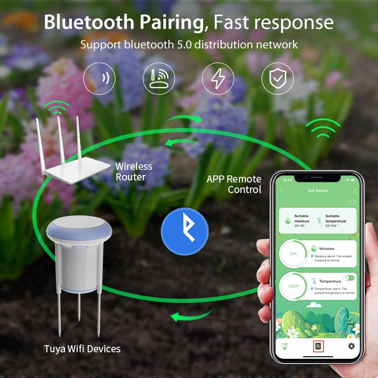 EDA0098105_B3.jpg@b27edab40338cd45dd89dab963d12d1e