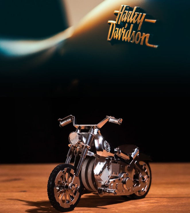 ROADWAY FANTASY HARLEY MOTORCYCLE