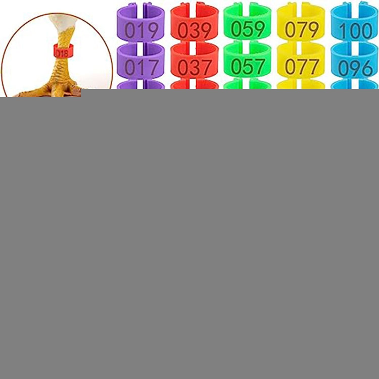 TBD0604786901.jpg@48b902e6b14c288850c703d8982d29d2