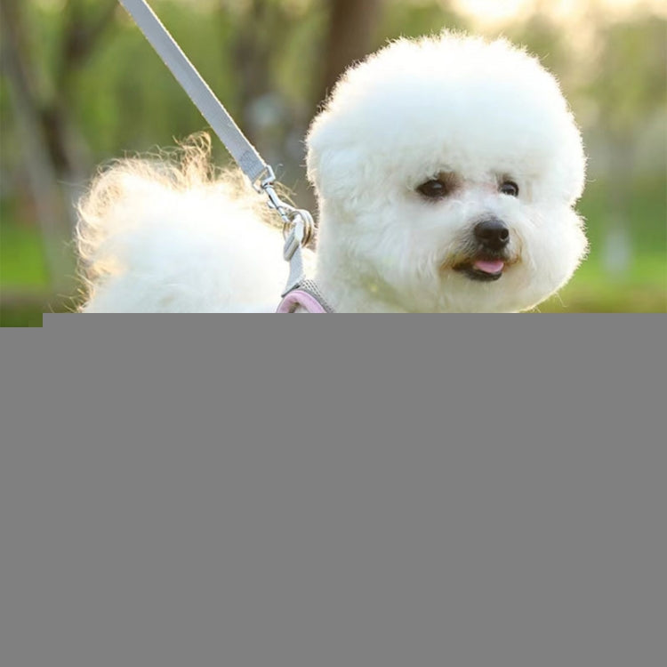 TBD06051101_B1.jpg@20011af94f90b894cca8e793a58974ce