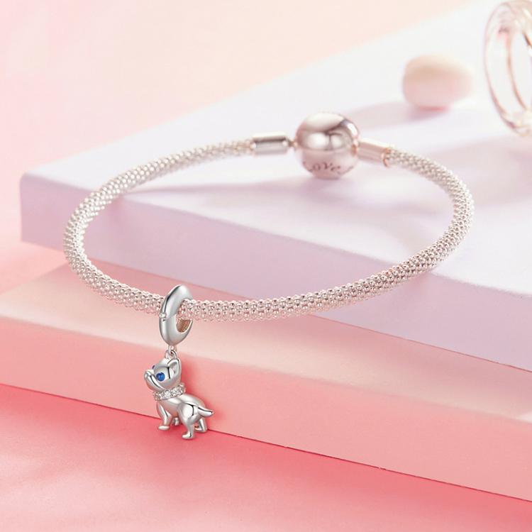 TBD06059669_B4.jpg@fe00ac31d8550faacabad033be681f1e