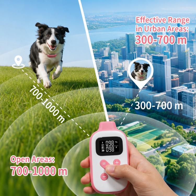 TBD06069975_B5.jpg@d1b4185a4811e946a7e554f543753e5d