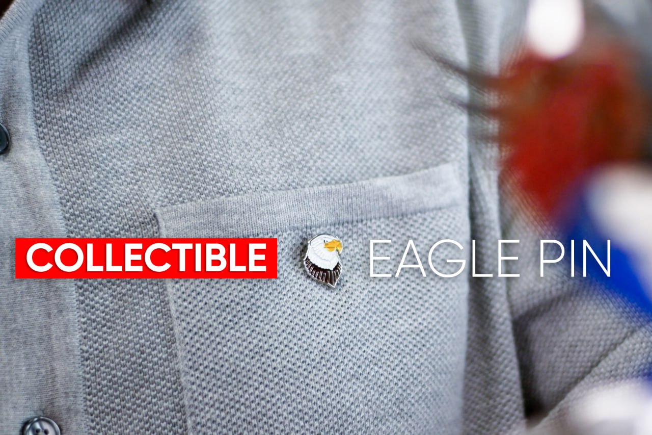 The Great Eagle Silver Armor DIY kit